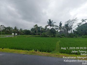 DIJUAL TANAH 2.025 M² DI BAHA, MENGWI – BADUNG