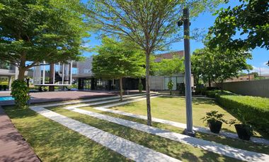 Prime Residential Lot for Sale in The Enclave Alabang