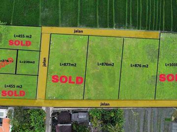 DIJUAL TANAH PANTAI NYANYI