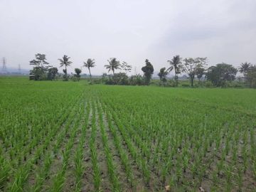 Dijual Tanah di Padalarang, SHM Lokasi Strategis Cocok untuk Investasi