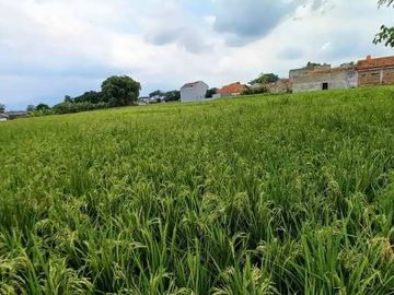 Dijual Tanah di Soreang, Kawasan Strategis Dekat Stadion Jalak Harupat