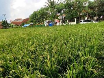 Dijual Tanah di Soreang, Kawasan Strategis Dekat Stadion Jalak Harupat