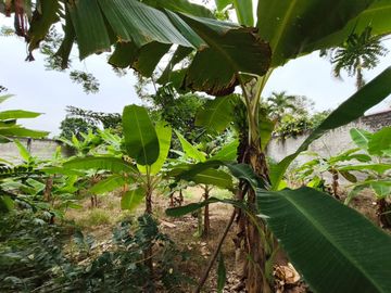 TERRENO EN VENTA EN PASAJE, LOT MARIANA FEBRES CORDERO