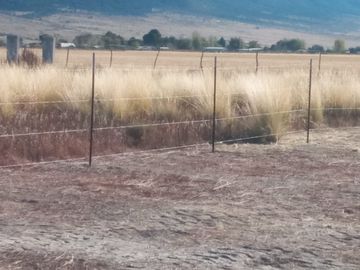 Terreno en Venta de 1,188.27m2. Fraccionamiento Privanzas, Montemorelos