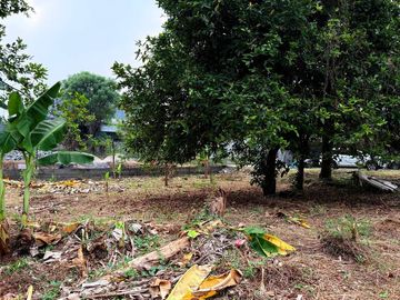 Tanah pesanggrahan jaksel 1559m: Dijual Tanah di pasanggrahan dekat  komplek Deplu 2 Km universitas Budi Luhur