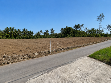 Tanah 1 Jt-an Barat Universitas Muhammadiyah Yogyakarta