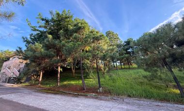 Tagaytay Crosswinds Lot For Sale 225sqm