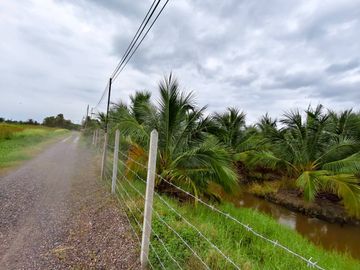 98072 - ขายที่ดินพร้อมบ้าน สวนมะพร้าวน้ำหอม+บ้านชั้นเดียว เขาย้อย เพชรบุรี