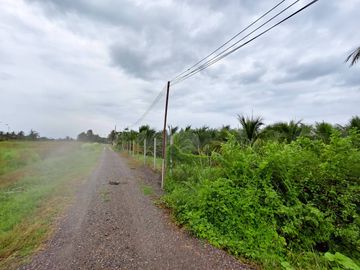 98072 - ขายที่ดินพร้อมบ้าน สวนมะพร้าวน้ำหอม+บ้านชั้นเดียว เขาย้อย เพชรบุรี