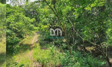 For Sale: Vacant Lot in Tanay, Rizal