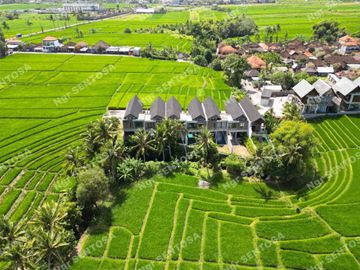 Villa Kedungu Baru View Sawah dan Sungai