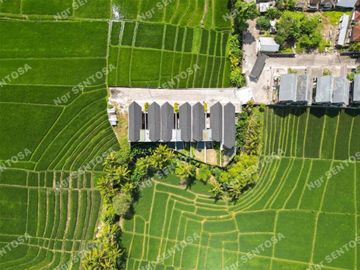 Villa Kedungu Baru View Sawah dan Sungai