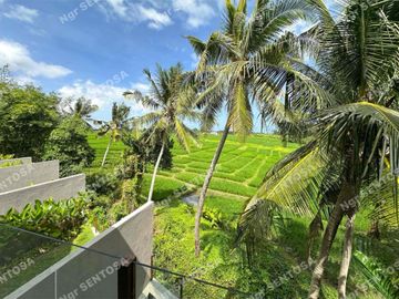 Villa Kedungu Baru View Sawah dan Sungai