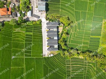 Villa Kedungu Baru View Sawah dan Sungai