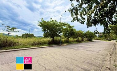 FACING EAST LOT FOR SALE IN VERA ESTATES CASTILLE MANDAUE CEBU