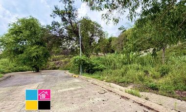 FACING EAST LOT FOR SALE IN VERA ESTATES CASTILLE MANDAUE CEBU