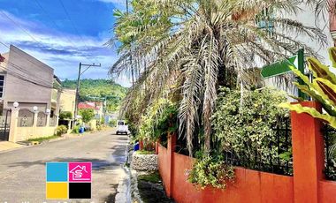 LOT FOR SALE IN TALAMBAN CEBU CITY