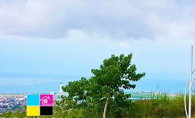 LOT FOR SALE IN PEAK MONTERRAZAS CEBU