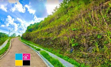 LOT FOR SALE IN PEAK MONTERRAZAS CEBU