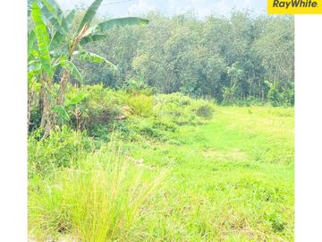 Dijual Tanah Di JAti Agung, Lampung Selatan (Kode : SUL 3667)