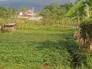 Jual tanah ciimus