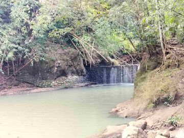 jual tanah murah lokasi di tabanan. los sungai luas tanah 1 hektar 40 are hargq 25 jt/ are pinggir jln aspal  lokasi desa megati seltim tabanan