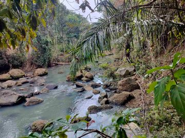 jual tanah murah lokasi di tabanan. los sungai luas tanah 1 hektar 40 are hargq 25 jt/ are pinggir jln aspal  lokasi desa megati seltim tabanan