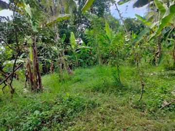 jual tanah murah lokasi di tabanan. los sungai luas tanah 1 hektar 40 are hargq 25 jt/ are pinggir jln aspal  lokasi desa megati seltim tabanan
