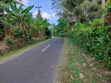 jual tanah murah lokasi di tabanan. los sungai luas tanah 1 hektar 40 are hargq 25 jt/ are pinggir jln aspal  lokasi desa megati seltim tabanan