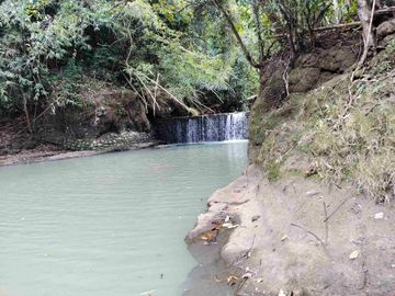 jual tanah murah lokasi di tabanan. los sungai luas tanah 1 hektar 40 are hargq 25 jt/ are pinggir jln aspal  lokasi desa megati seltim tabanan