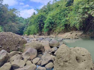 jual tanah murah lokasi di tabanan. los sungai luas tanah 1 hektar 40 are hargq 25 jt/ are pinggir jln aspal  lokasi desa megati seltim tabanan