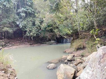 jual tanah murah lokasi di tabanan. los sungai luas tanah 1 hektar 40 are hargq 25 jt/ are pinggir jln aspal  lokasi desa megati seltim tabanan