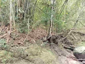 jual tanah murah lokasi di tabanan. los sungai luas tanah 1 hektar 40 are hargq 25 jt/ are pinggir jln aspal  lokasi desa megati seltim tabanan