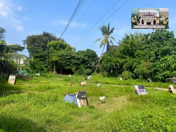 FOR SALE: RESIDENTIAL LOT IN TUNGKOP MINGLANILLA