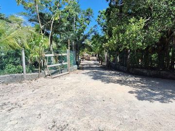 Terreno Turístico Ecológico Hotelero de 4.93 Ha en La Selva Natural de Playa del Carmen