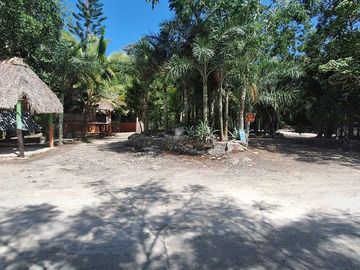 Terreno Turístico Ecológico Hotelero de 4.93 Ha en La Selva Natural de Playa del Carmen