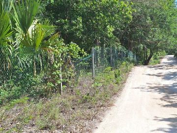 Terreno Turístico Ecológico Hotelero de 4.93 Ha en La Selva Natural de Playa del Carmen