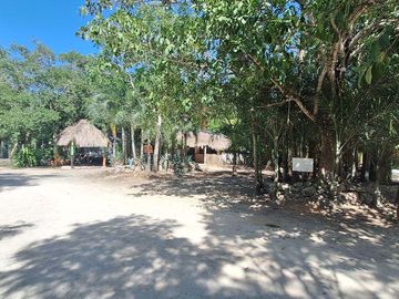 Terreno Turístico Ecológico Hotelero de 4.93 Ha en La Selva Natural de Playa del Carmen