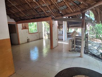 Terreno Turístico Ecológico Hotelero de 4.93 Ha en La Selva Natural de Playa del Carmen