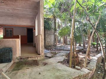 Terreno Turístico Ecológico Hotelero de 4.93 Ha en La Selva Natural de Playa del Carmen