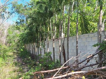 Terreno Turístico Ecológico Hotelero de 4.93 Ha en La Selva Natural de Playa del Carmen