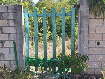 Terreno Turístico Ecológico Hotelero de 4.93 Ha en La Selva Natural de Playa del Carmen