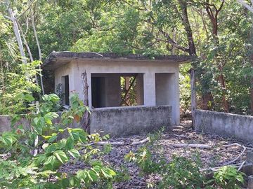 Terreno Turístico Ecológico Hotelero de 4.93 Ha en La Selva Natural de Playa del Carmen