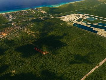 Terreno Turístico Ecológico Hotelero de 4.93 Ha en La Selva Natural de Playa del Carmen