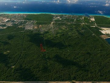 Terreno Turístico Ecológico Hotelero de 4.93 Ha en La Selva Natural de Playa del Carmen