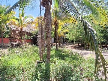 Terreno Turístico Ecológico Hotelero de 4.93 Ha en La Selva Natural de Playa del Carmen