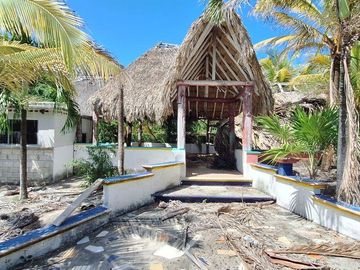 Terreno Turístico Ecológico Hotelero de 4.93 Ha en La Selva Natural de Playa del Carmen