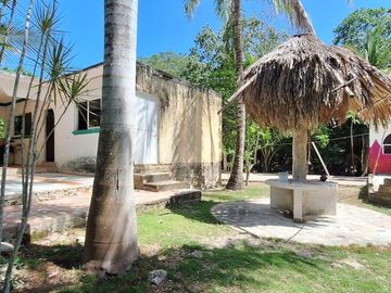 Terreno Turístico Ecológico Hotelero de 4.93 Ha en La Selva Natural de Playa del Carmen