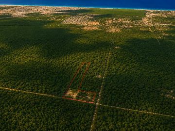 Terreno Turístico Ecológico Hotelero de 4.93 Ha en La Selva Natural de Playa del Carmen