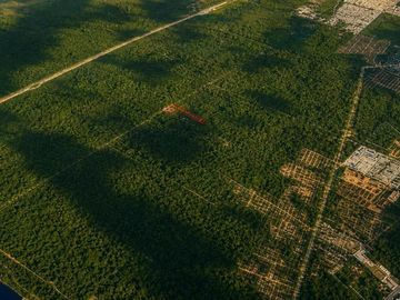 Terreno Turístico Ecológico Hotelero de 4.93 Ha en La Selva Natural de Playa del Carmen
